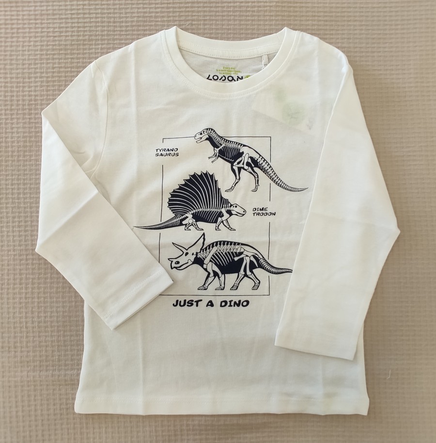 camiseta-nino-dinosaurios-losan