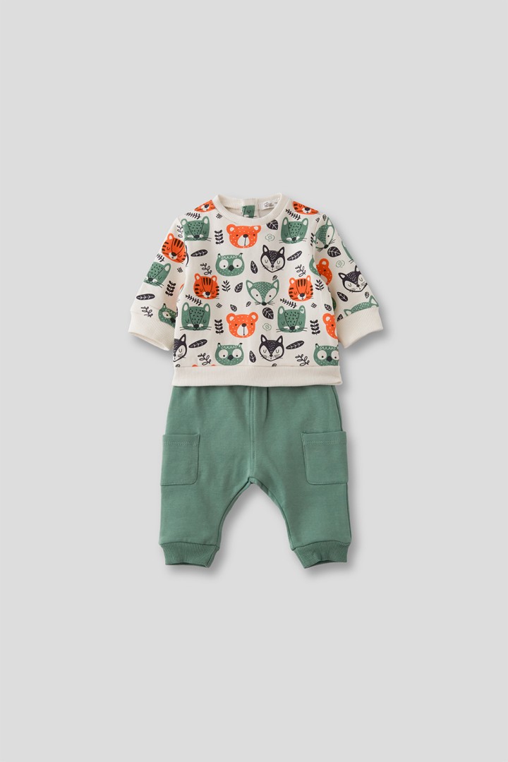 conjunto-animales-street-monkey-