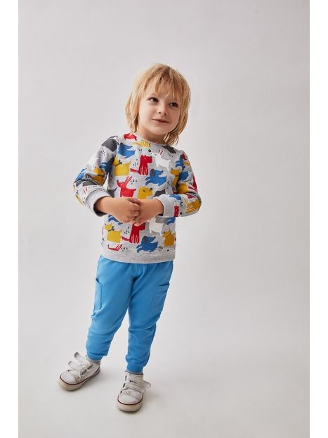 conjunto-animales-street-monkey