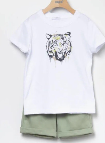 conjunto-nino-tigre-coco-aqua