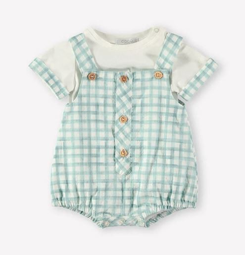 ranita-bebe-cuadros-coco-acqua