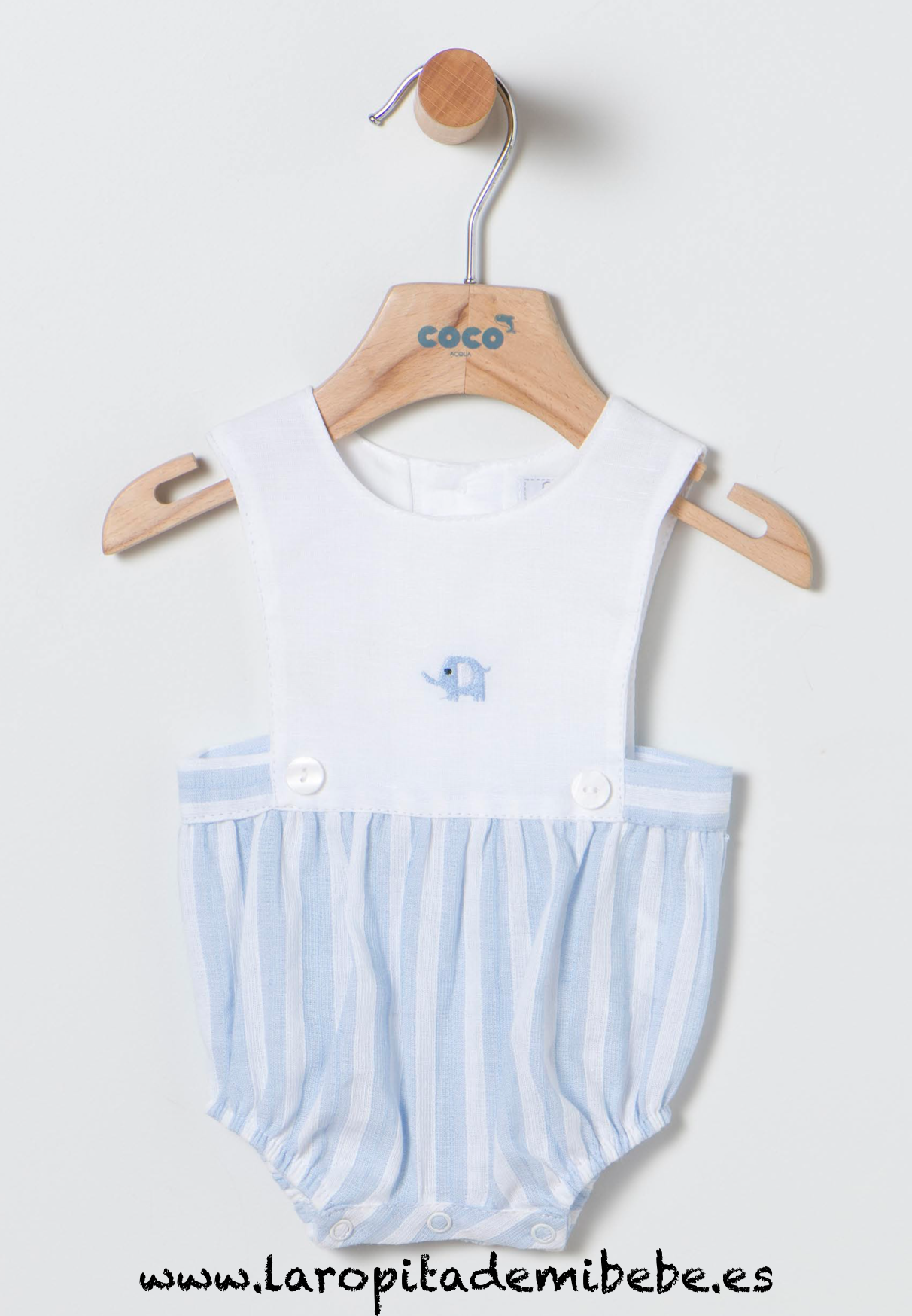 ranita-rayas-coco-colores