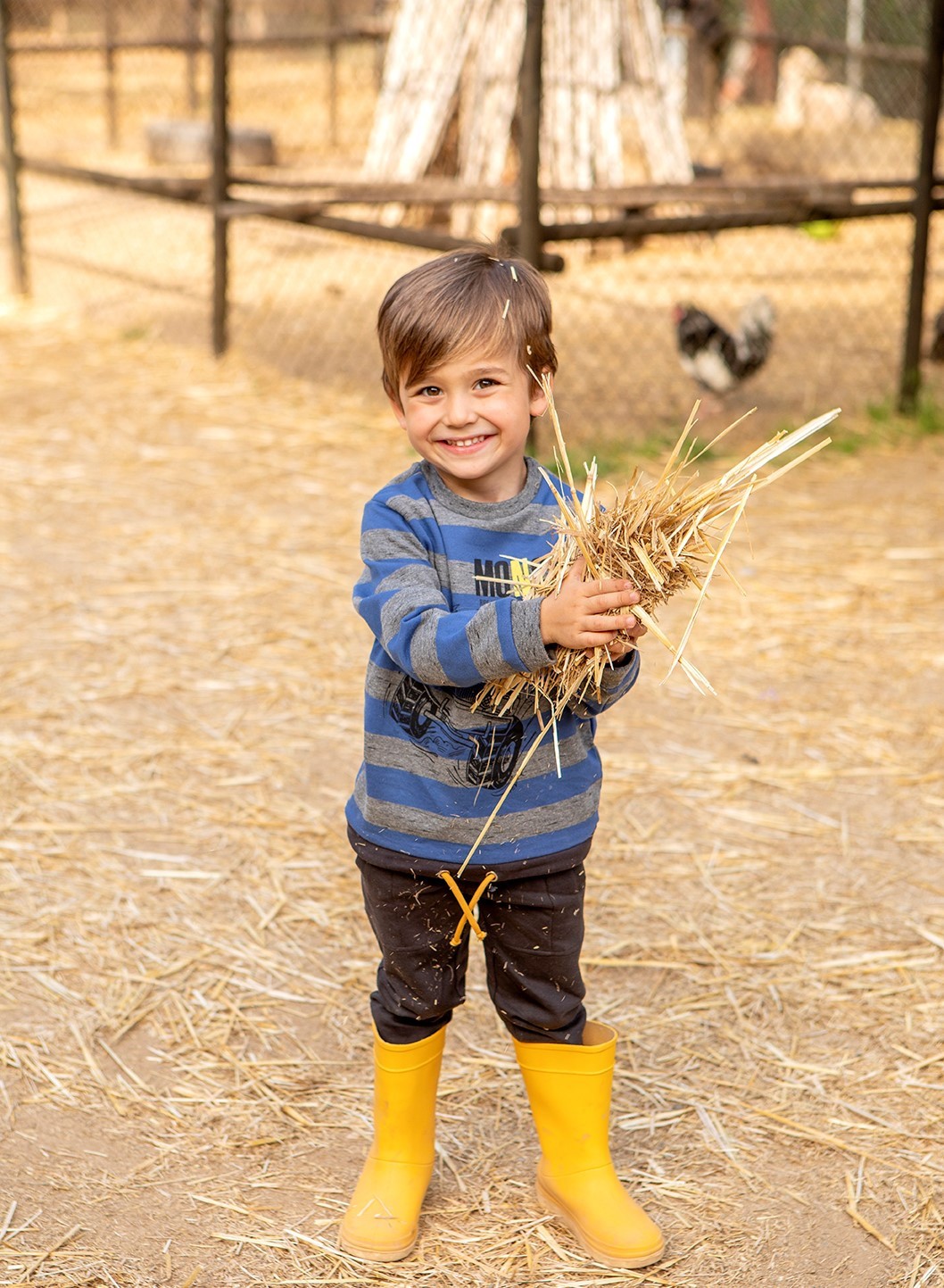 Conjuntos-dakar-losan
