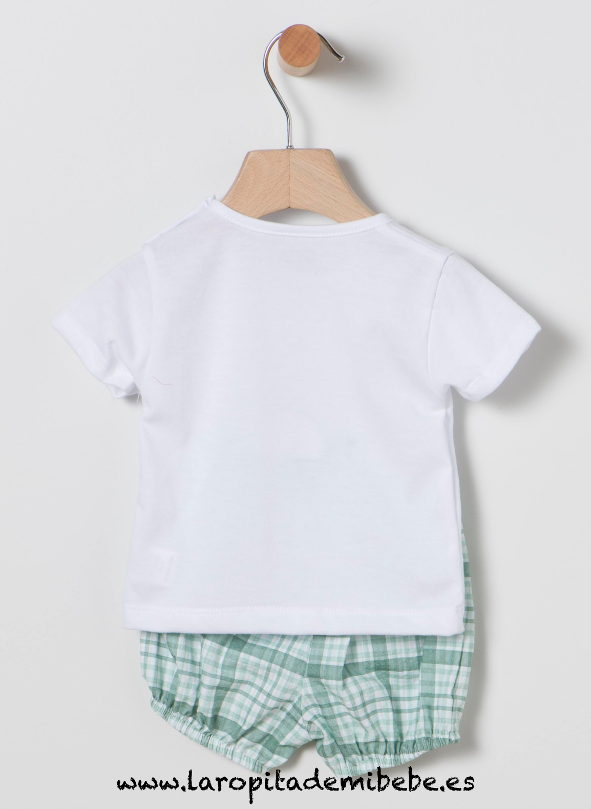 Conjuntos-tortuga-coco